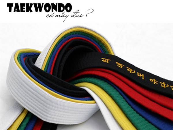 Võ Taekwondo có mấy đai? Cấp đai Taekwondo nào cao nhất?