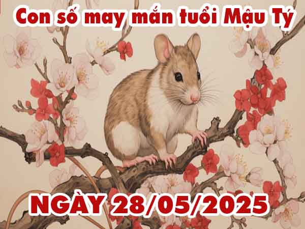 Con số may mắn tuổi Mậu Tý ngày 28/5/2025 thứ 4 hôm nay