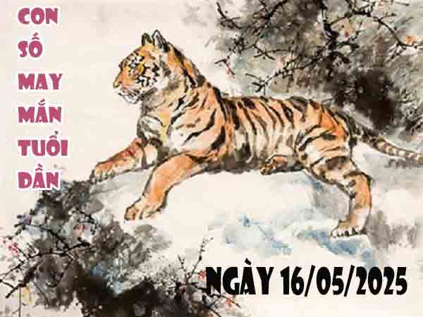 Cặp số tài lộc tuổi Dần ngày 16/5/2025 thứ 6 hôm nay