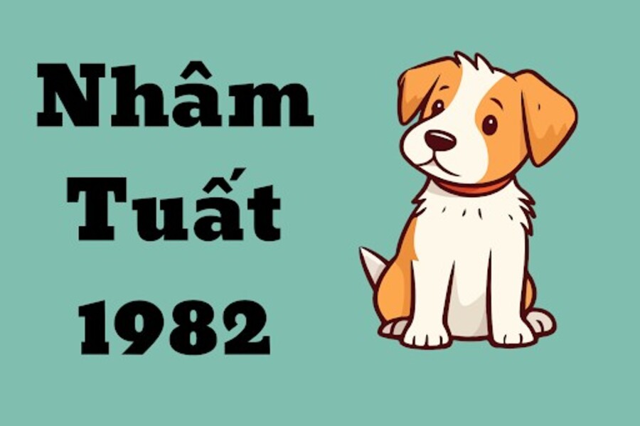 Giải mã Tuổi Nhâm Tuất 1982 hợp với số nào để hút may mắn?