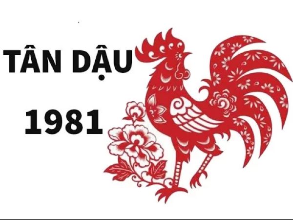 Tuổi Tân Dậu 1981 hợp với số nào theo phong thủy?