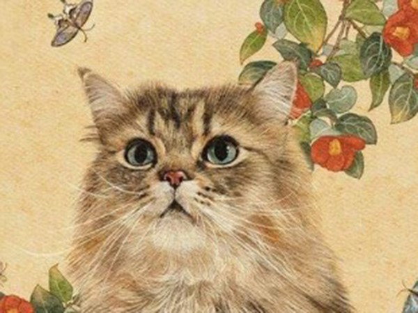 Cải thiện tài chính với số đẹp tuổi Quý Mão 24/6/2025