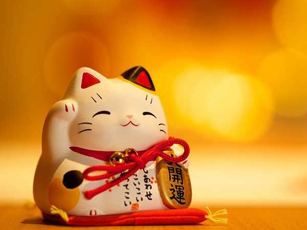 Phân tích con số may mắn tuổi Đinh Mão 5/6/2025