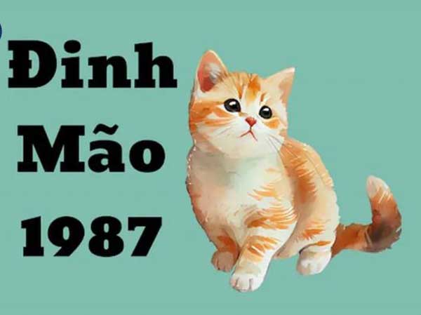Tổng quan tử vi tuổi Đinh Mão ngày 5/6/2025