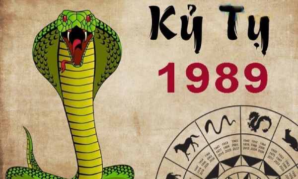 con số đẹp tuổi Kỷ Tỵ