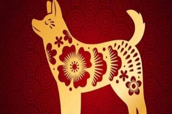 Con số phát tài tuổi Tuất ngày 17/7/2025 hôm nay