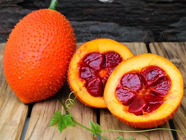 Ngủ mơ thấy quả gấc có ý nghĩa gì tốt hay xấu?