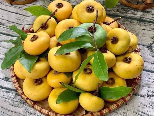 Chiêm bao thấy ăn quả thị chín mọng