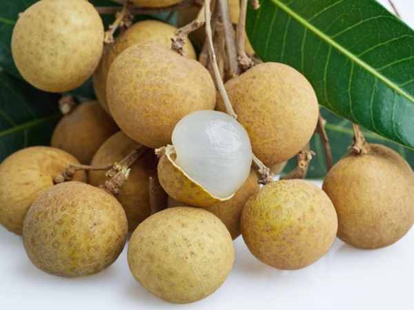 Mơ thấy một vườn nhãn sai trĩu quả
