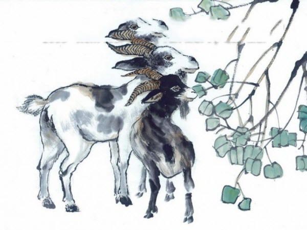 Tổng quan về người tuổi Quý Mùi ngày 18/9/2025 thứ 5 hôm nay