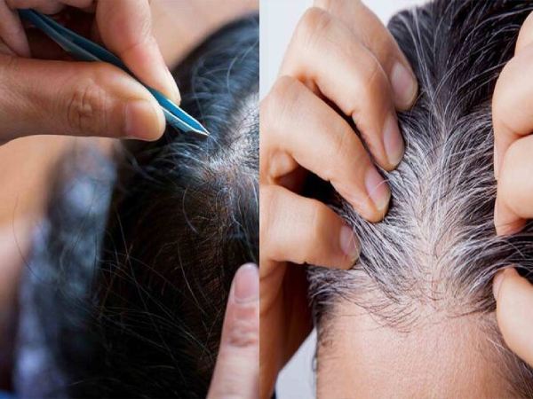 Mơ thấy nhổ tóc bạc cho người khác