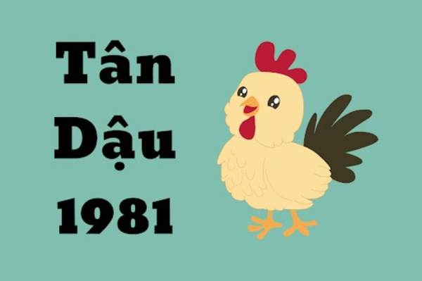 Tổng quan về tử vi tuổi Tân Dậu ngày 13/10/2025