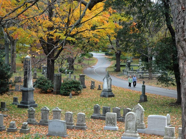 Khám phá nằm mơ thấy nghĩa địa là điềm gì, lành hay dữ?