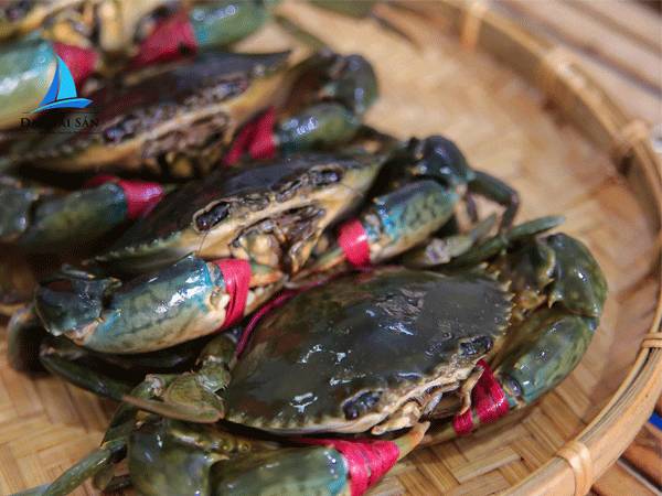 Chiêm bao thấy nhiều cua bò lên bờ