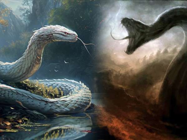 rắn nhỏ số mấy