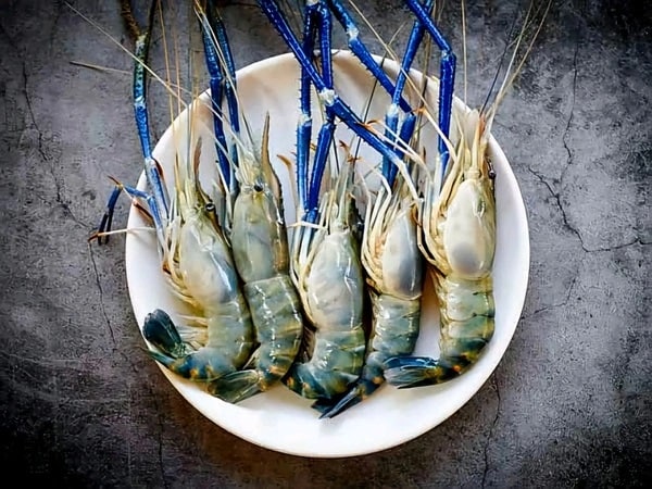 Lý giải con tôm số mấy, nằm mơ thấy con tôm tốt hay xấu?