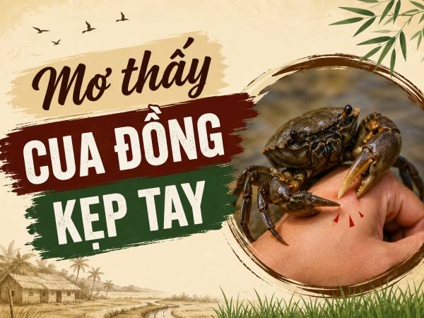 Mơ thấy cua đồng kẹp tay