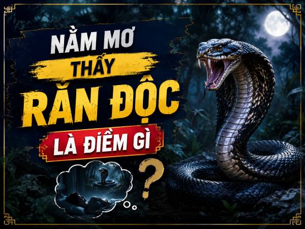 Nằm mơ thấy rắn độc là điềm gì