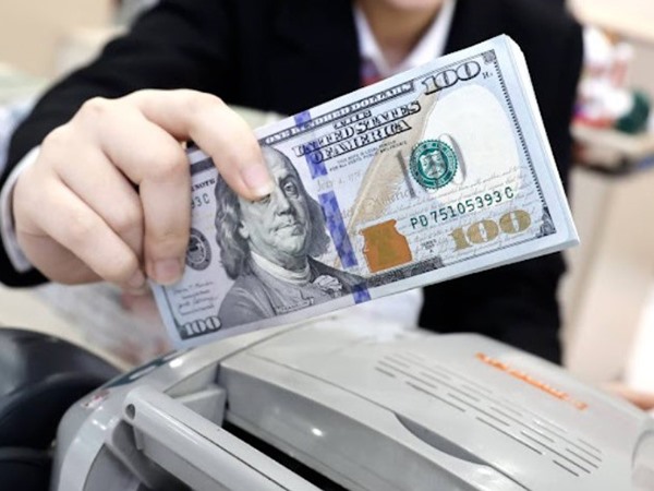 Nằm mơ thấy tiền đô là điềm báo gì, con gì lộc lớn?