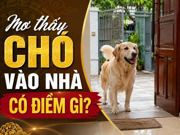 Thực hư mơ thấy chó vào nhà có điềm gì cho gia chủ?