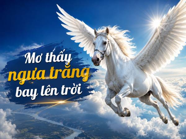 Mơ thấy ngựa trắng bay lên trời