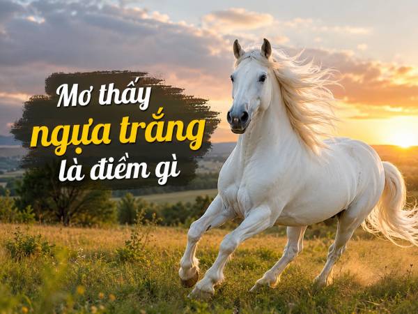 Mơ thấy ngựa trắng là điềm gì