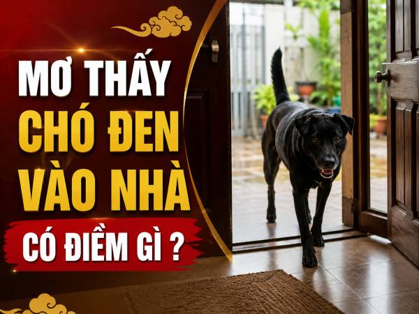Mơ thấy chó đen vào nhà